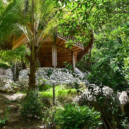 Ecohabs - Bosques Del Tayrona Villa Jordan  Esterno foto