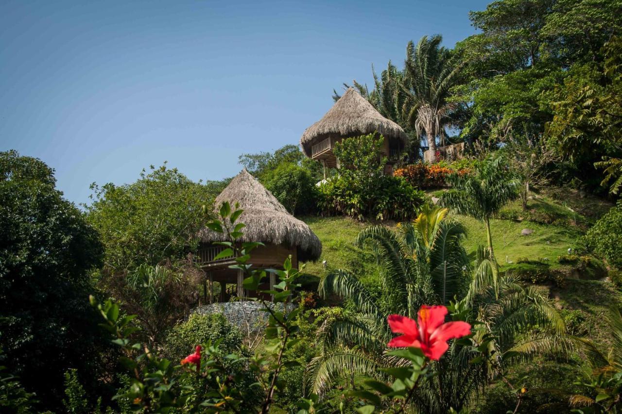 Ecohabs - Bosques Del Tayrona Villa Jordan  Esterno foto