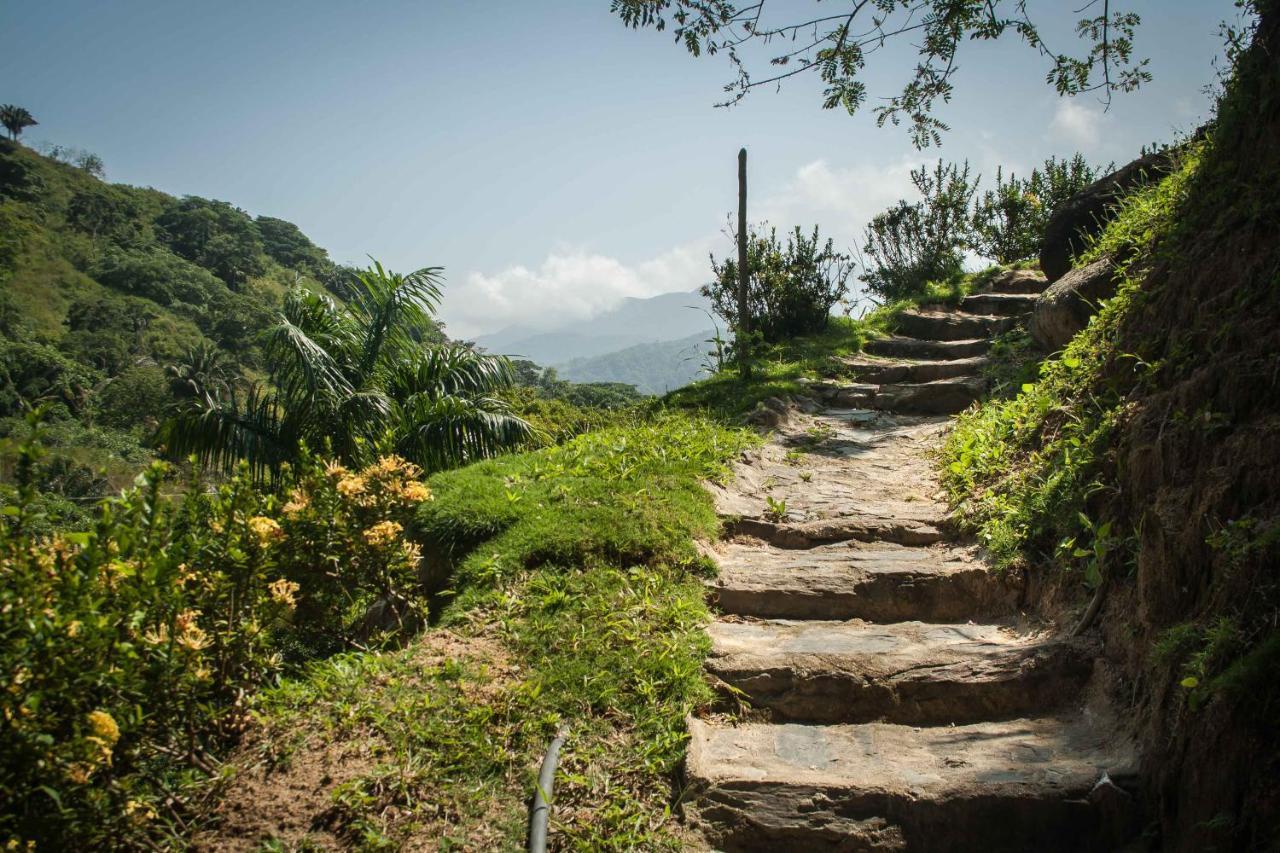 Ecohabs - Bosques Del Tayrona Villa Jordan  Esterno foto