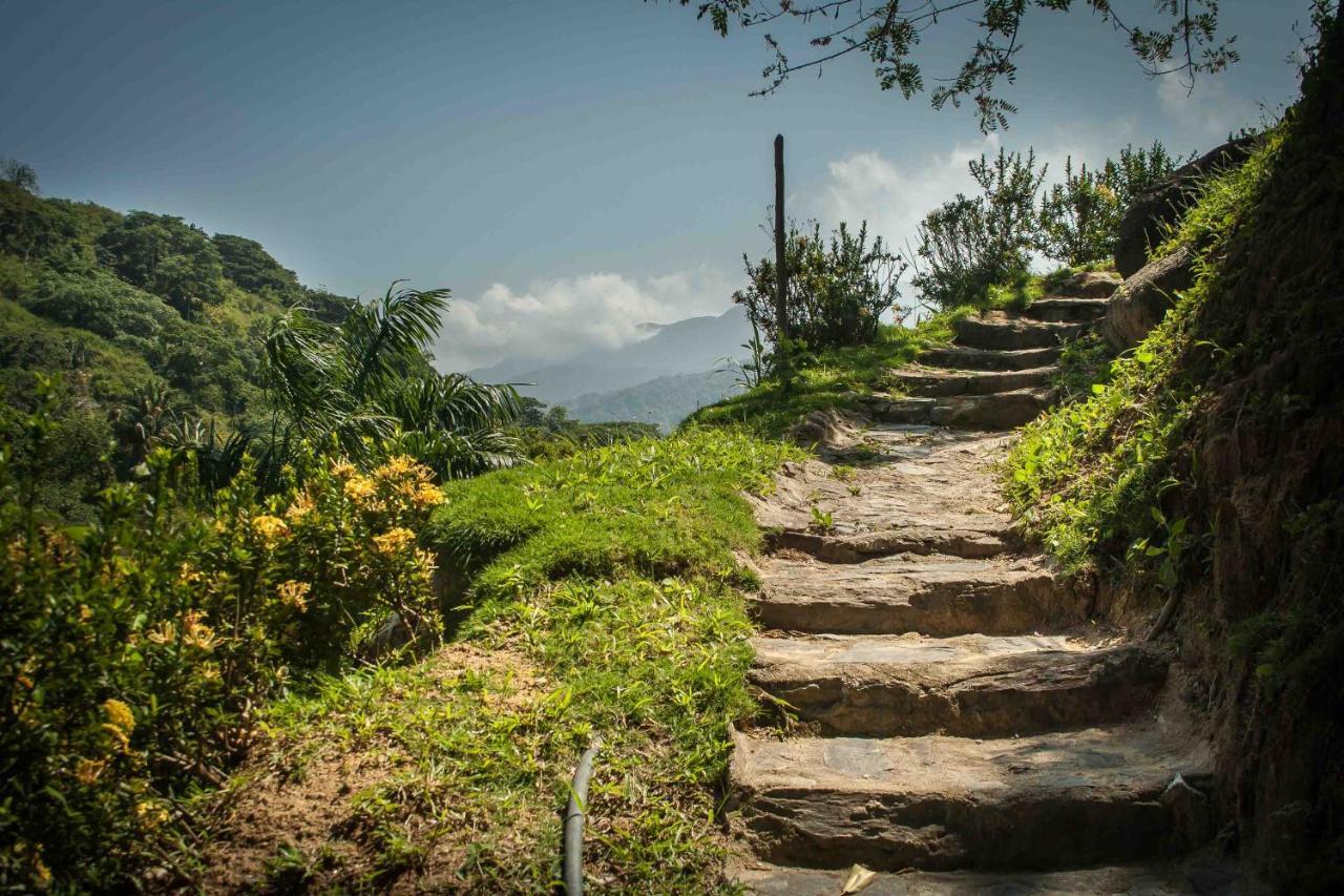 Ecohabs - Bosques Del Tayrona Villa Jordan  Esterno foto