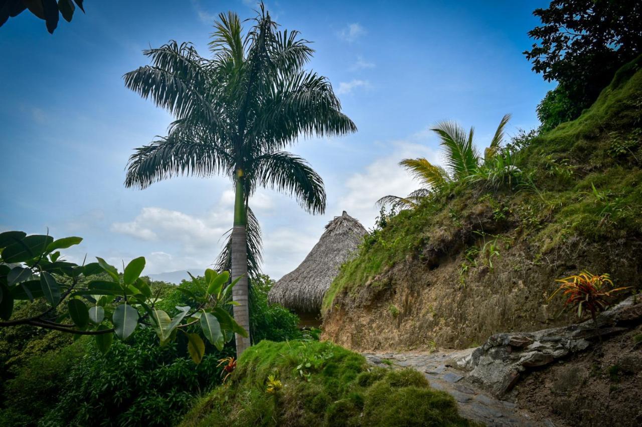 Ecohabs - Bosques Del Tayrona Villa Jordan  Esterno foto