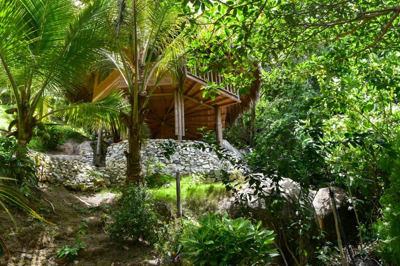 Ecohabs - Bosques Del Tayrona Villa Jordan  Esterno foto