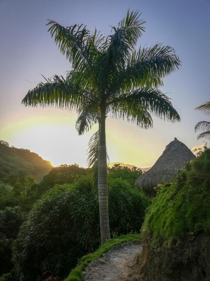 Ecohabs - Bosques Del Tayrona Villa Jordan  Esterno foto