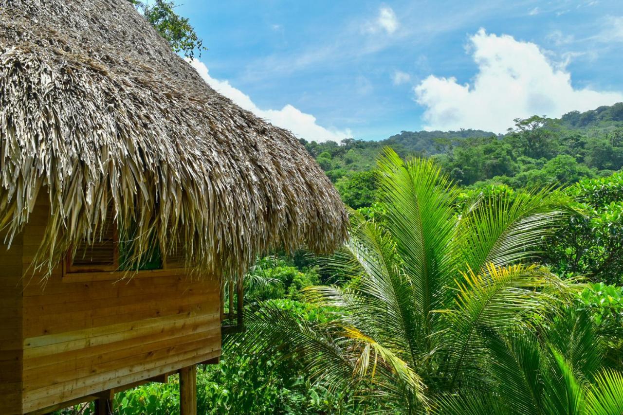 Ecohabs - Bosques Del Tayrona Villa Jordan  Esterno foto