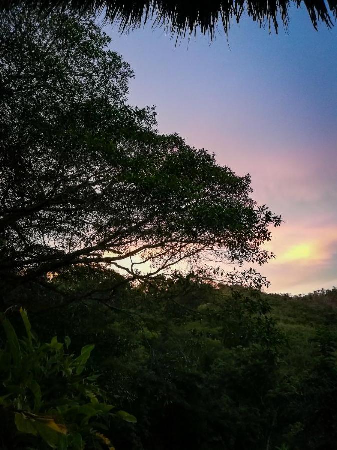 Ecohabs - Bosques Del Tayrona Villa Jordan  Esterno foto