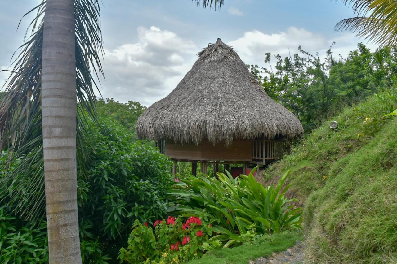 Ecohabs - Bosques Del Tayrona Villa Jordan  Esterno foto