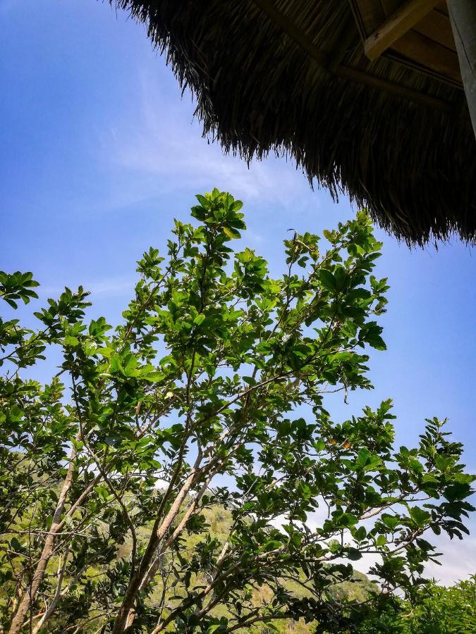 Ecohabs - Bosques Del Tayrona Villa Jordan  Esterno foto