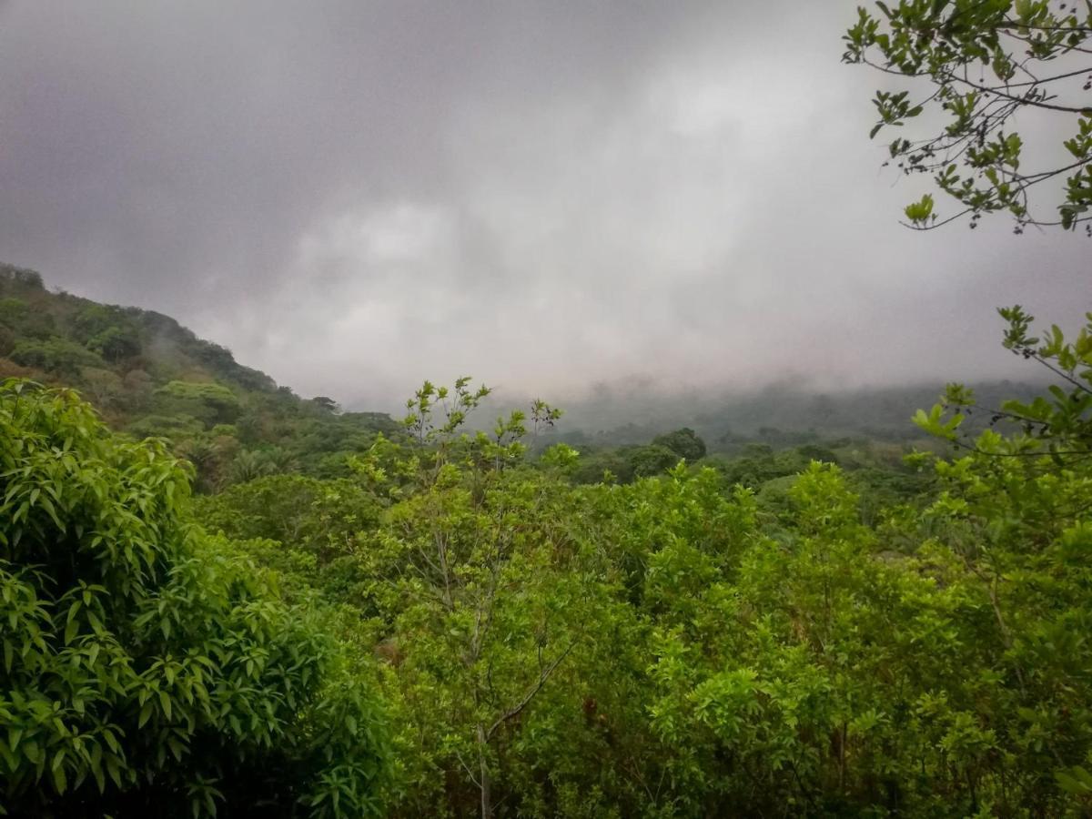 Ecohabs - Bosques Del Tayrona Villa Jordan  Esterno foto